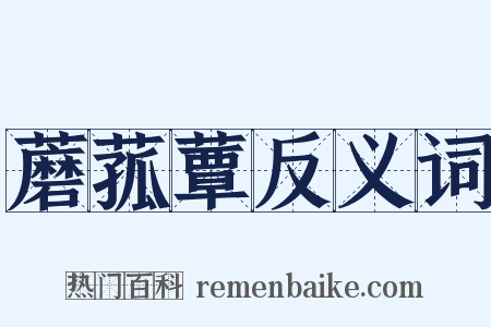 蘑菰蕈反义词是什么意思的图片